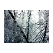 collage image title